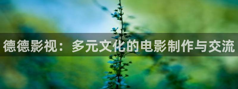 超碰在线播放97：德德影视：多元文化的电影制作与交流