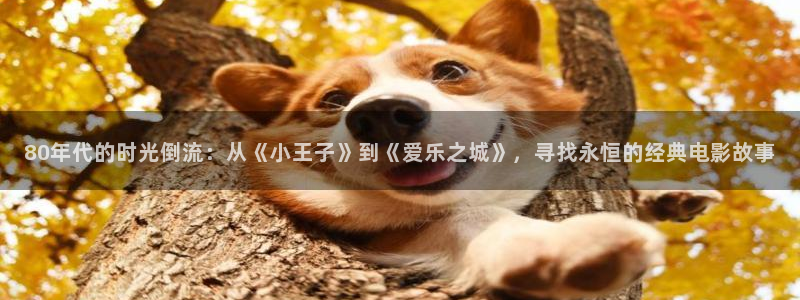 超碰在线综合：80年代的时光倒流：从《小王子》到《爱乐之城》，寻找永恒的经典电影故事