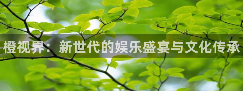 超碰97人人干：橙视界：新世代的娱乐盛宴与文化传承