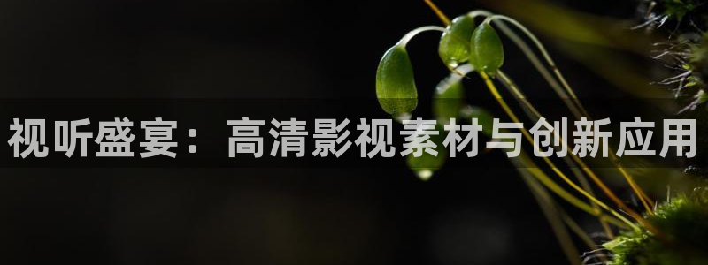 98超碰：视听盛宴：高清影视素材与创新应用