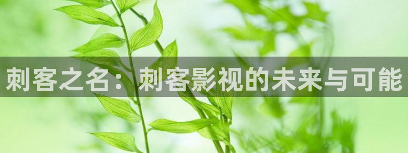 超碰在线 免费：刺客之名：刺客影视的未来与可能